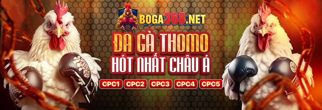 Đá Gà Trực Tuyến win55 nhận 55k