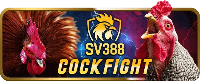 Banner quảng cáo win55 nhan55k